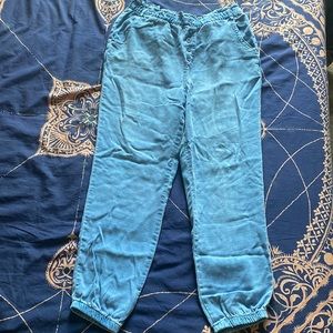 Anthropology Cloth & Stone blue jogger pants